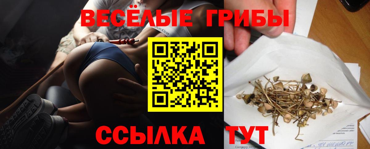 Чусовой  Псилоцибиновые грибы прущие грибы  Вход с VPN 